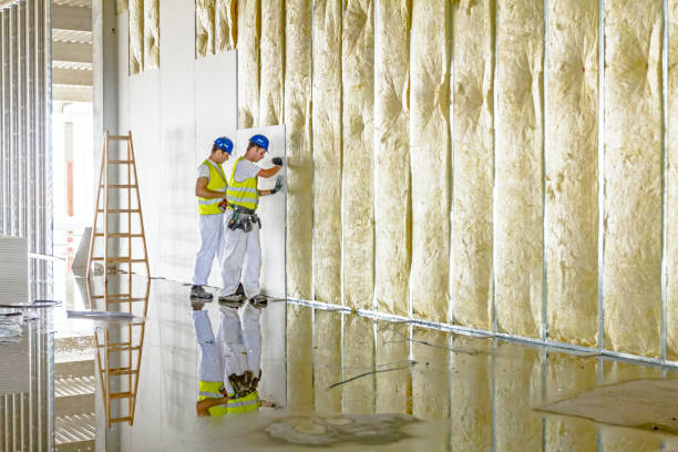 Best Types of Insulation in Theodore, AL